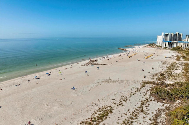 property view of water featuring a beach view