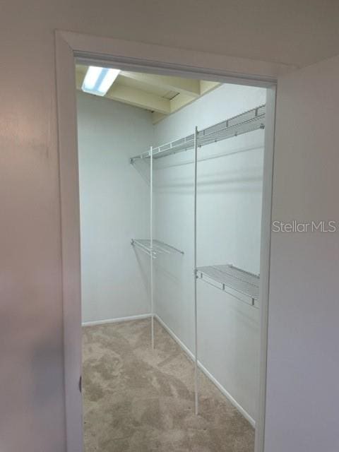 spacious closet featuring light colored carpet