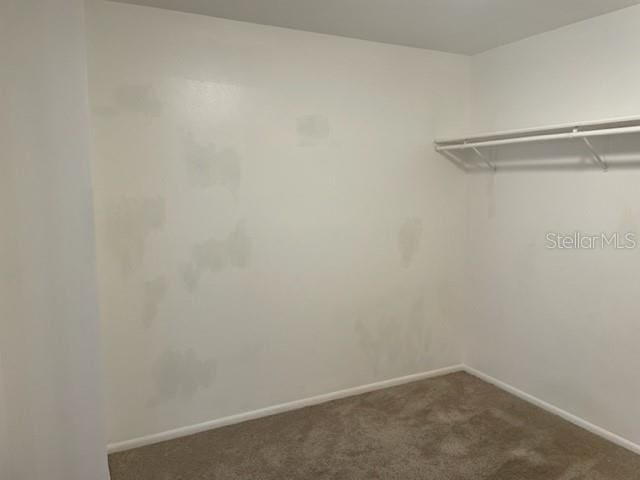 walk in closet with dark carpet