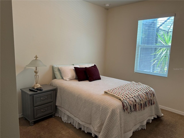 5821 Hevena Ct, Palmetto, FL 34221 - bedroom featuring dark colored carpet and baseboards
