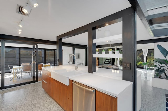 kitchen with stainless steel dishwasher and sink