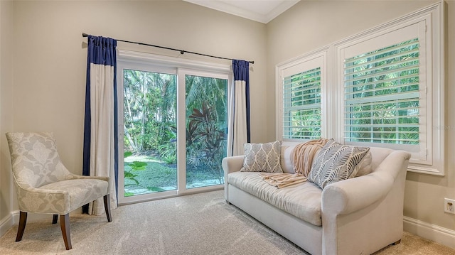 living area with crown molding and carpet floors