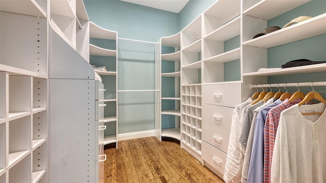 walk in closet with hardwood / wood-style flooring