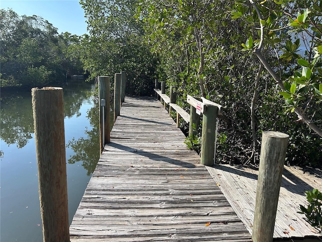 dock area with a water view