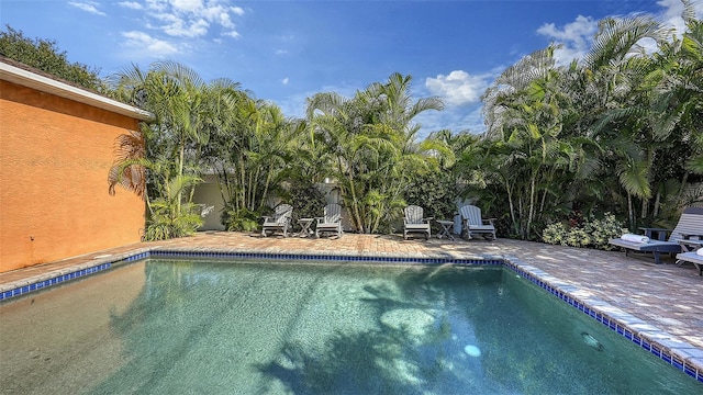 view of swimming pool with a patio area