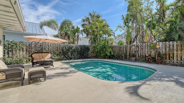 view of pool with a patio