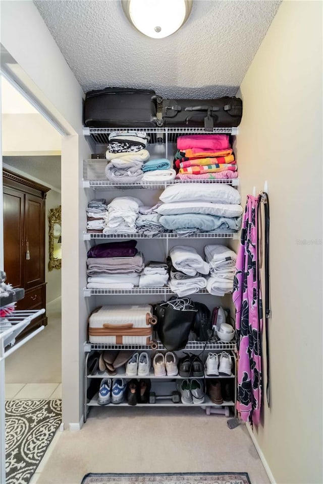 view of closet