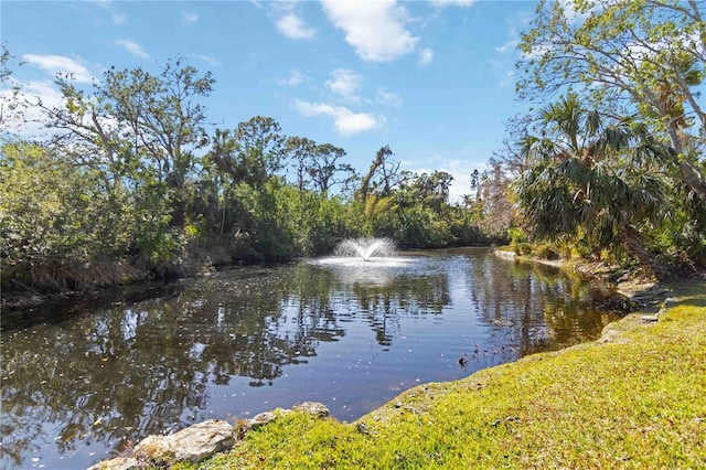 view of water feature