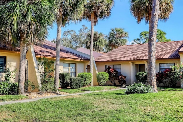 ranch-style house with a front yard