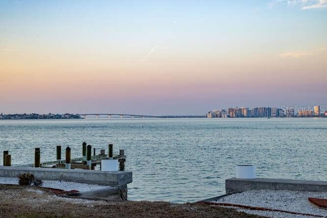 dock area with a water view