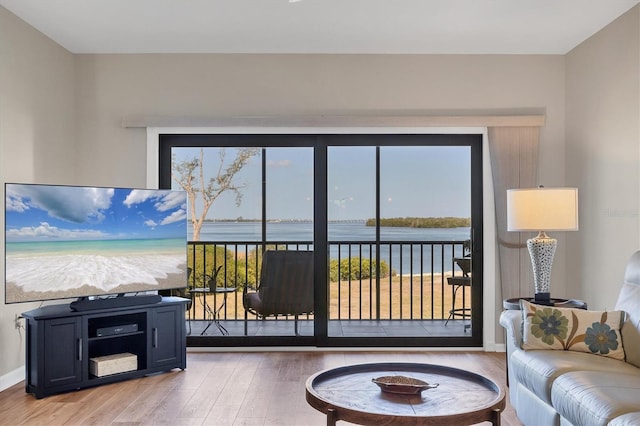 living room with light hardwood / wood-style flooring and a water view