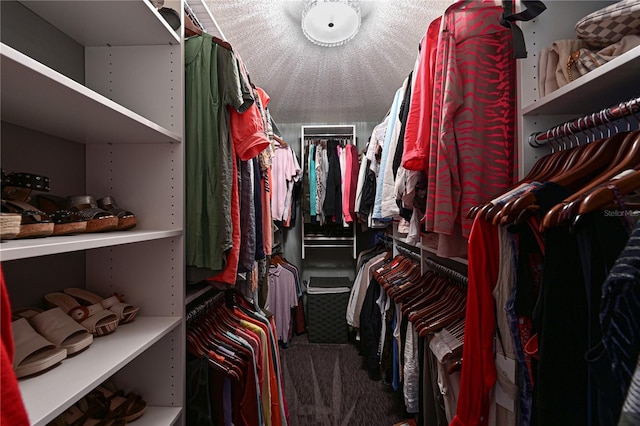 spacious closet featuring carpet flooring