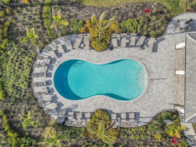 8609 Evening Dr, Sarasota, FL 34241 - view of swimming pool