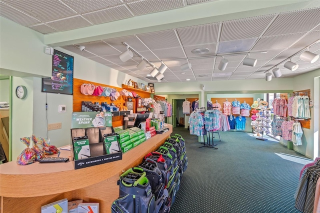 recreation room with rail lighting and carpet flooring