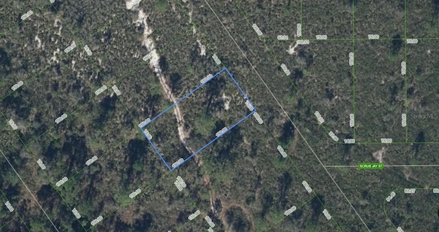 614 Palm St, Lake Placid FL, 33852 land for sale