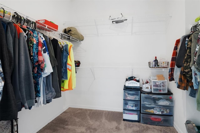 spacious closet with carpet flooring