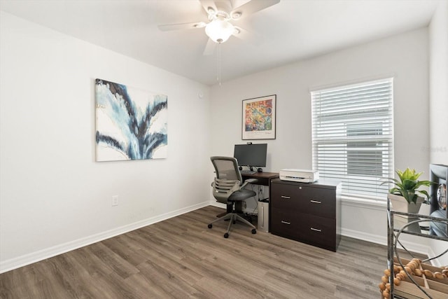 office space with ceiling fan and light hardwood / wood-style flooring