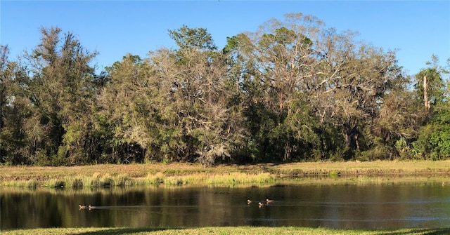 property view of water