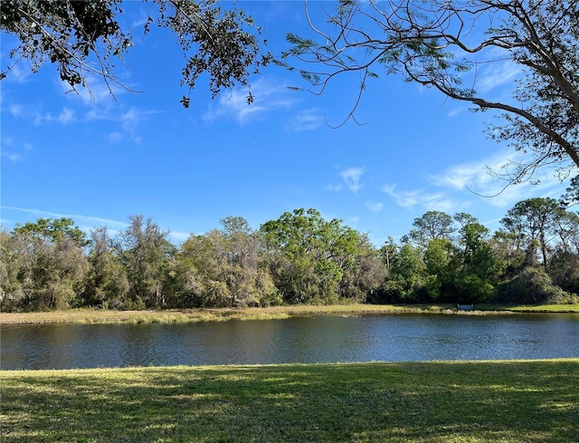 property view of water