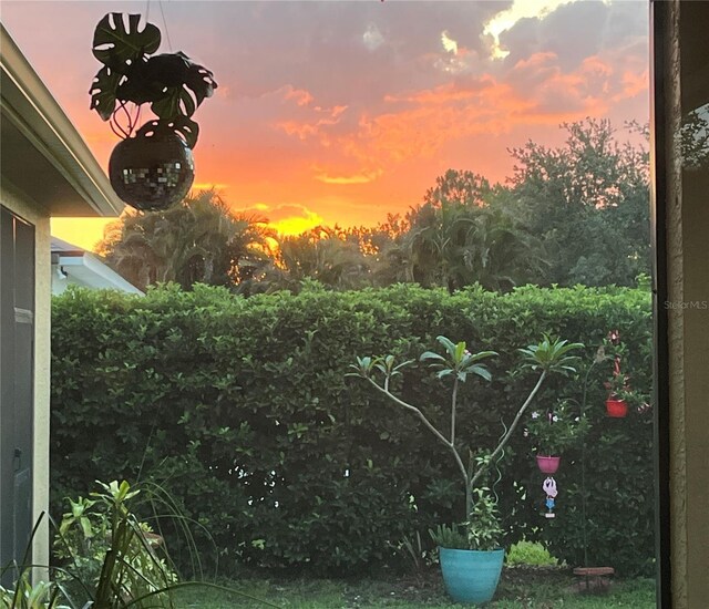 15207 17th Ave E, Bradenton, FL 34212 - view of yard at dusk