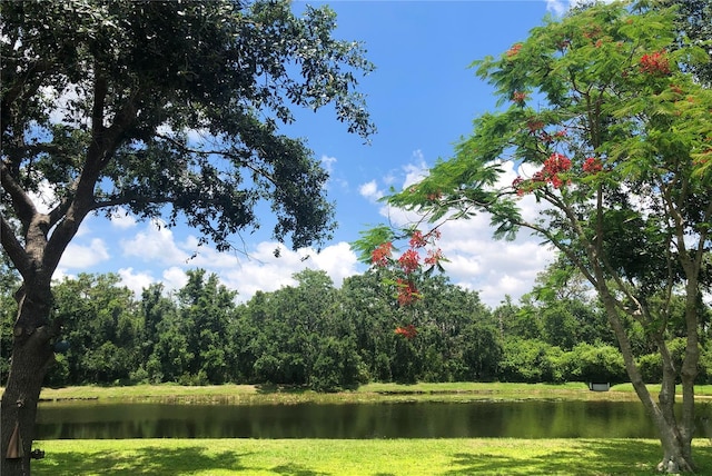 15207 17th Ave E, Bradenton, FL 34212 - water view featuring a heavily wooded area