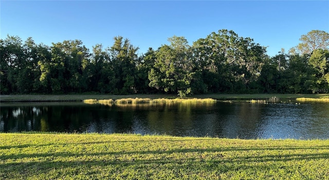 15207 17th Ave E, Bradenton, FL 34212 - water view featuring a heavily wooded area