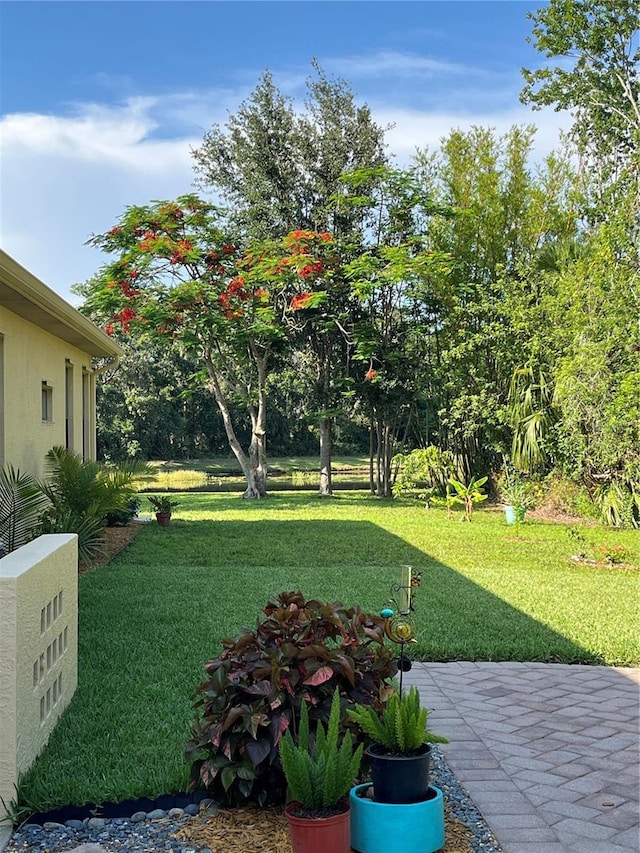 15207 17th Ave E, Bradenton, FL 34212 - view of green lawn