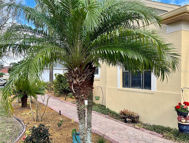 15207 17th Ave E, Bradenton, FL 34212 - view of home's exterior with stucco siding