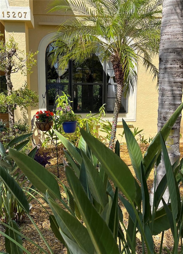 15207 17th Ave E, Bradenton, FL 34212 - view of yard
