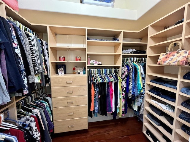 15207 17th Ave E, Bradenton, FL 34212 - walk in closet featuring dark wood finished floors