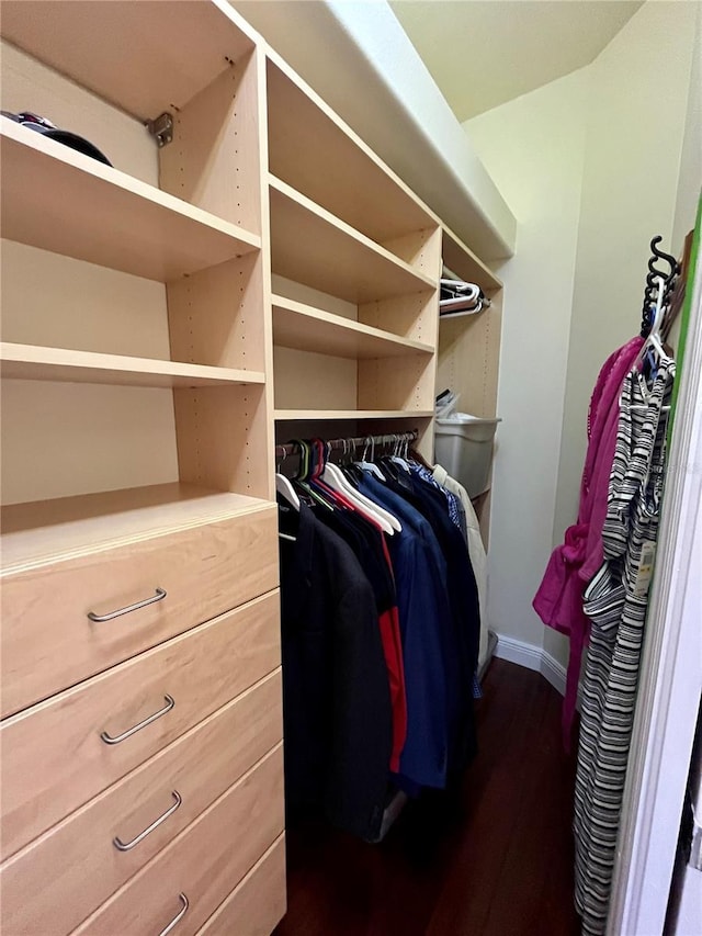 15207 17th Ave E, Bradenton, FL 34212 - walk in closet with dark wood finished floors