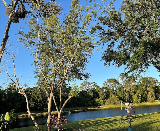 15207 17th Ave E, Bradenton, FL 34212 - water view