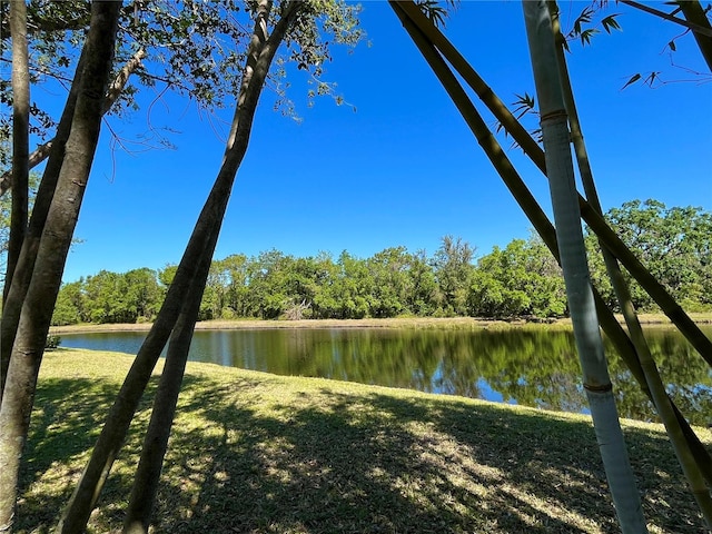 15207 17th Ave E, Bradenton, FL 34212 - water view
