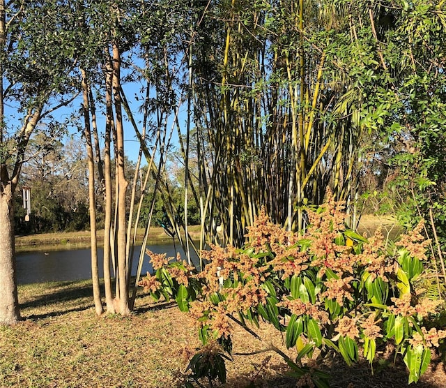 15207 17th Ave E, Bradenton, FL 34212 - view of yard with a water view