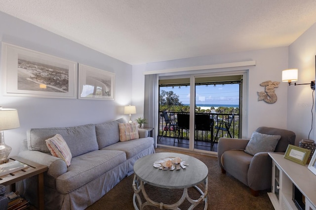 carpeted living room with a textured ceiling