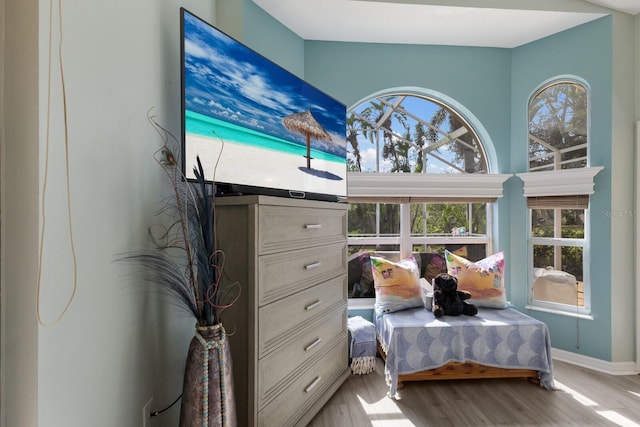 sitting room featuring light hardwood / wood-style floors