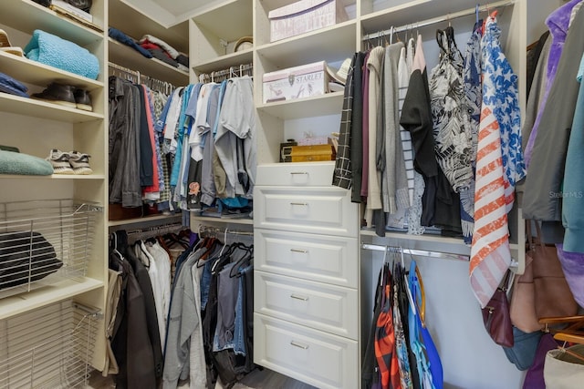 view of walk in closet