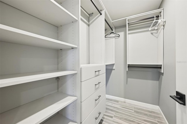 spacious closet featuring light wood-type flooring