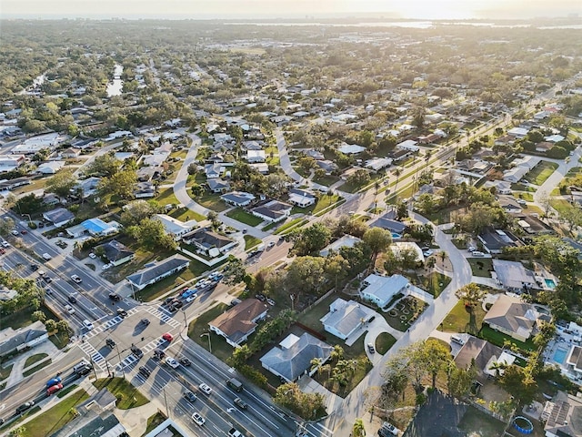 drone / aerial view