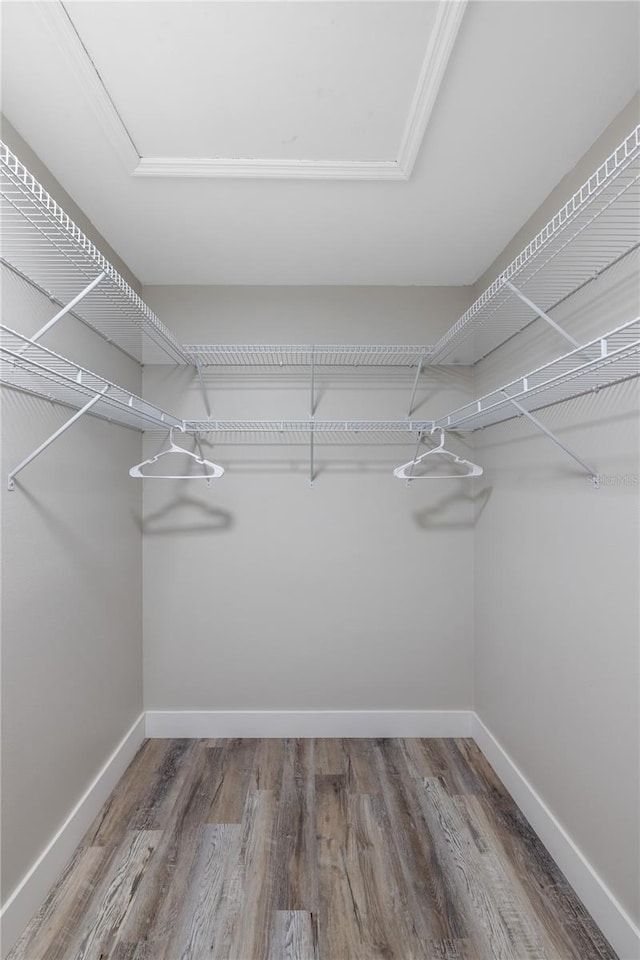 spacious closet featuring wood-type flooring