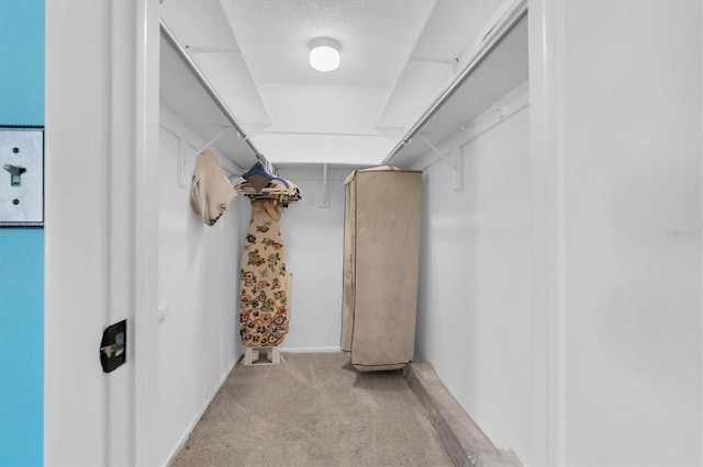 walk in closet featuring light colored carpet