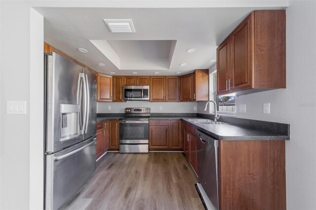 kitchen with sink, a tray ceiling, stainless steel appliances, and light hardwood / wood-style floors