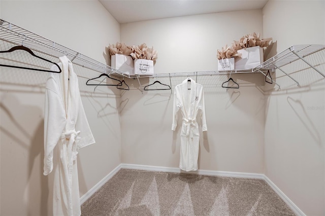 spacious closet with carpet floors