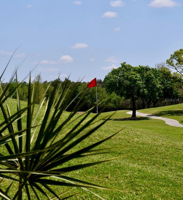 surrounding community featuring a yard