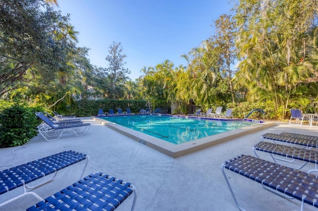 view of pool featuring a patio