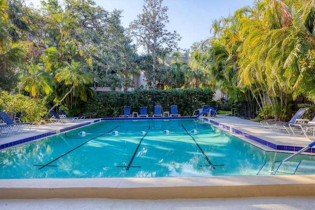 view of swimming pool