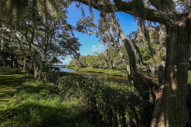 view of landscape with a water view