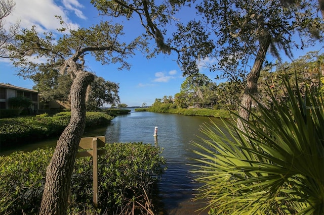 view of water feature