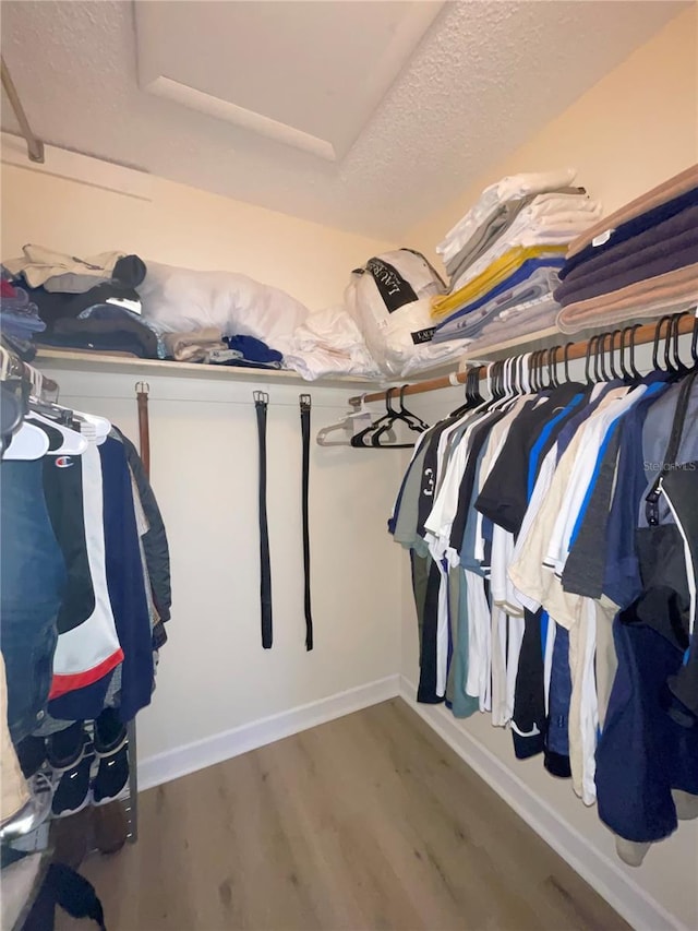 walk in closet featuring hardwood / wood-style flooring