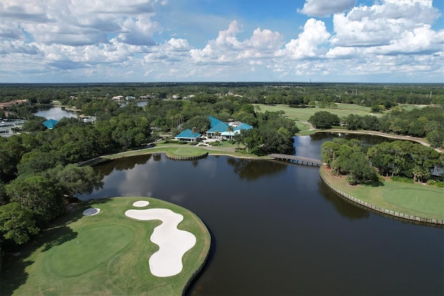 aerial view with a water view and a forest view